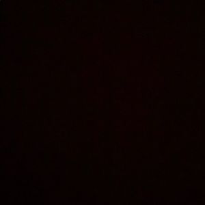 Meet your Posher, Judy